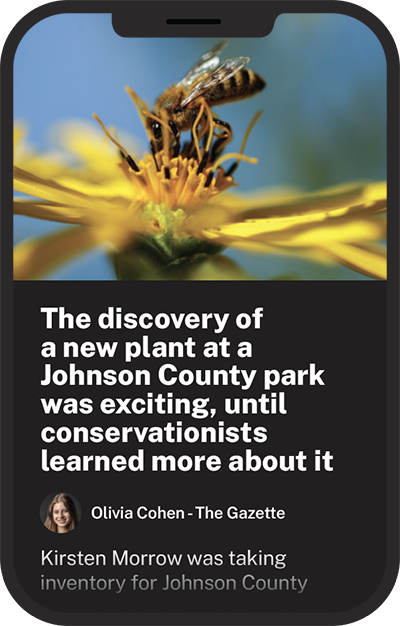 The discovery of a new plant at a Johnson County park was exciting, until conservationists learned more about it.