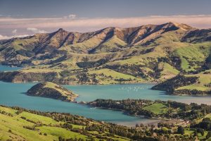Thumbnail of New Zealand Scenery